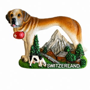 Image of Magnet Beni Switzerland