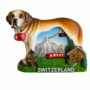 Image of Magnet Beni Switzerland