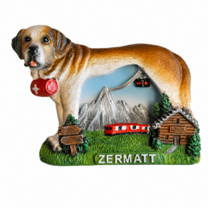 Image of Magnet Beni Zermatt