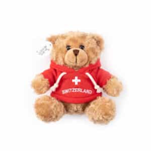 Image of Plüschbär klein braun mit Hoodie